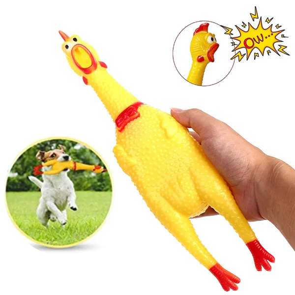 Dog Squeaky Toy